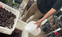 又一网红水果塌房消费者却无力心疼果农了